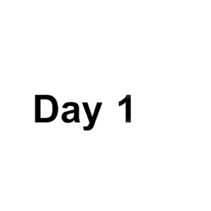 Days MOGRT